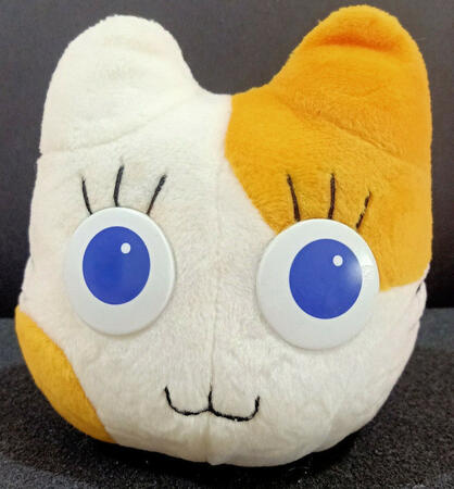 Cross-eyed Calico